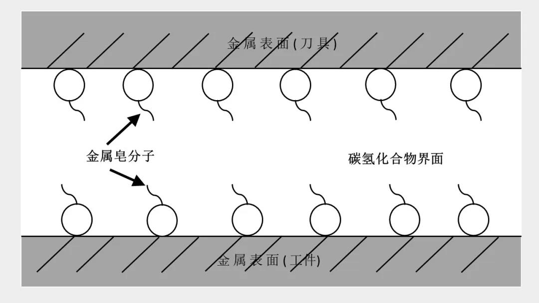 微信圖片_20210714110110.jpg